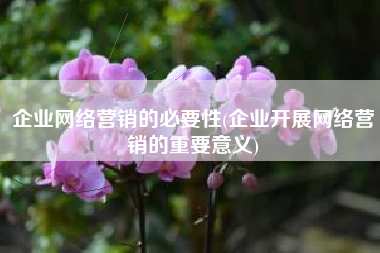 企业网络营销的必要性(企业开展网络营销的重要意义)