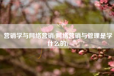 营销学与网络营销(网络营销与管理是学什么的)