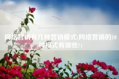网络营销有几种营销模式(网络营销的10种模式有哪些?)
