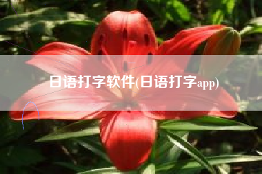 日语打字软件(日语打字app)