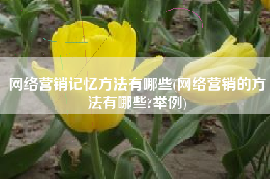 网络营销记忆方法有哪些(网络营销的方法有哪些?举例)