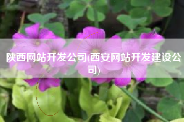 陕西网站开发公司(西安网站开发建设公司)
