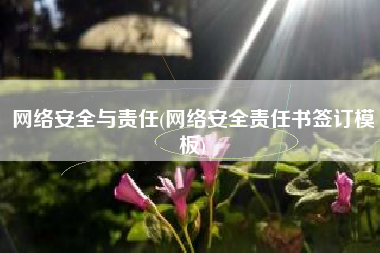 网络安全与责任(网络安全责任书签订模板)