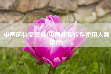 中国的社交软件(中国社交软件使用人数排行)