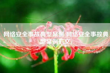 网络安全事故典型案例(网络安全事故典型案例范文)