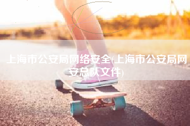 上海市公安局网络安全(上海市公安局网安总队文件)