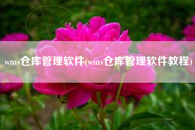 wms仓库管理软件(wms仓库管理软件教程)