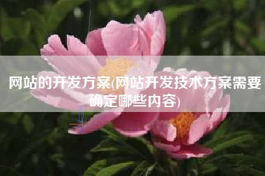网站的开发方案(网站开发技术方案需要确定哪些内容)