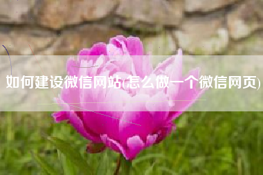 如何建设微信网站(怎么做一个微信网页)