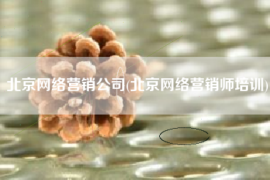 北京网络营销公司(北京网络营销师培训)