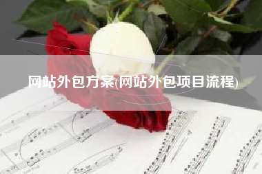 网站外包方案(网站外包项目流程)