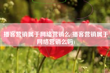 播客营销属于网络营销么(播客营销属于网络营销么吗)