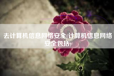 去计算机信息网络安全(计算机信息网络安全包括)