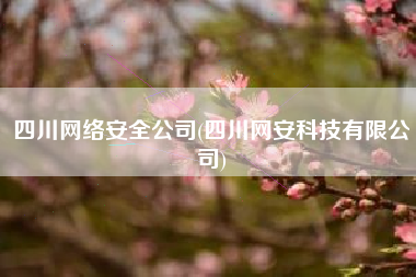 四川网络安全公司(四川网安科技有限公司)