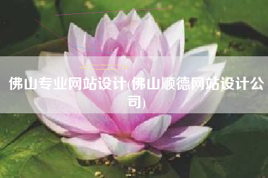 佛山专业网站设计(佛山顺德网站设计公司)