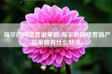 海尔的网络营销策略(海尔的网络营销产品策略有什么特点)