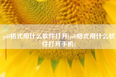 pdf格式用什么软件打开(pdf格式用什么软件打开手机)