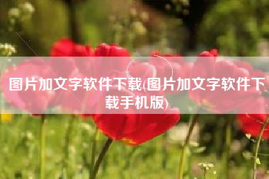 图片加文字软件下载(图片加文字软件下载手机版)