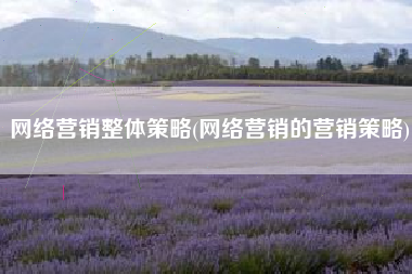 网络营销整体策略(网络营销的营销策略)