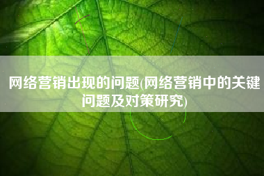 网络营销出现的问题(网络营销中的关键问题及对策研究)