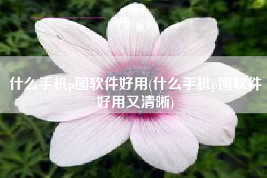 什么手机p图软件好用(什么手机p图软件好用又清晰)