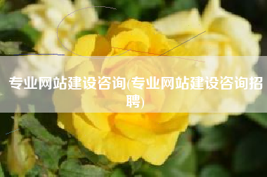 专业网站建设咨询(专业网站建设咨询招聘)