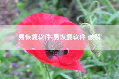 易恢复软件(易恢复软件 破解)