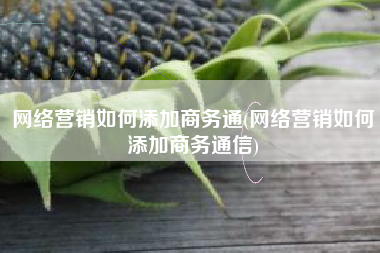 网络营销如何添加商务通(网络营销如何添加商务通信)
