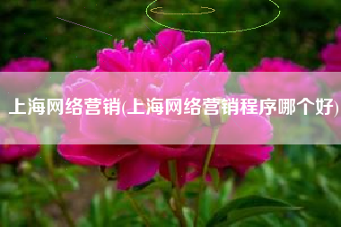 上海网络营销(上海网络营销程序哪个好)