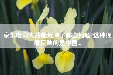 京东电商大战能反映了哪些问题?这种现象反映的是中国...