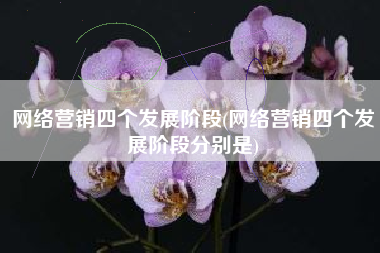 网络营销四个发展阶段(网络营销四个发展阶段分别是)