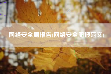 网络安全周报告(网络安全周报范文)
