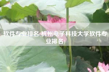 软件专业排名(杭州电子科技大学软件专业排名)