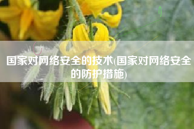 国家对网络安全的技术(国家对网络安全的防护措施)