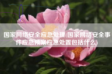 国家网络安全应急处理(国家网络安全事件应急预案应急处置包括什么)