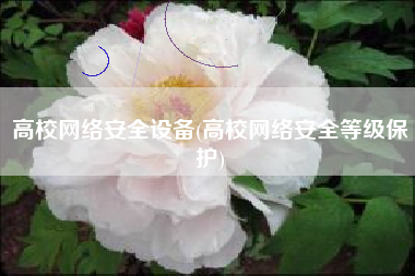 高校网络安全设备(高校网络安全等级保护)