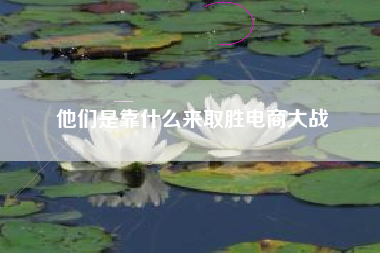 他们是靠什么来取胜电商大战