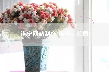 遂宁网站制作(遂宁seo公司)