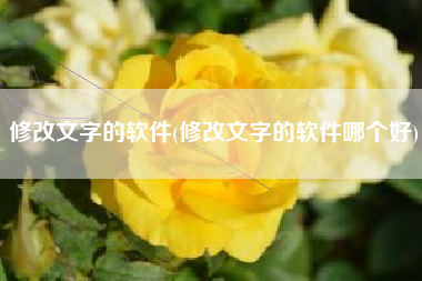 修改文字的软件(修改文字的软件哪个好)