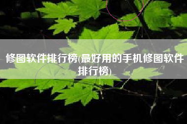 修图软件排行榜(最好用的手机修图软件排行榜)