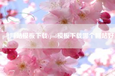 psd网站模板下载(psd模板下载哪个网站好)