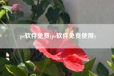 ps软件免费(ps软件免费使用)