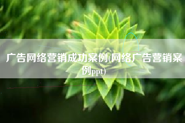 广告网络营销成功案例(网络广告营销案例ppt)