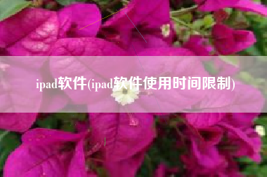 ipad软件(ipad软件使用时间限制)