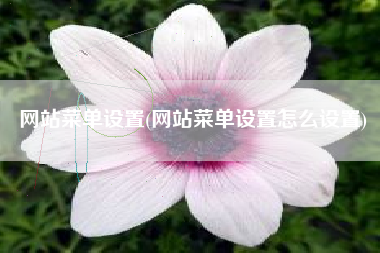 网站菜单设置(网站菜单设置怎么设置)