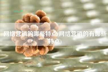 网络营销的哪些特点(网络营销的有哪些特点)