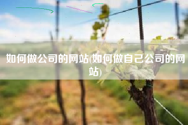 如何做公司的网站(如何做自己公司的网站)