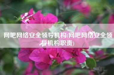 网吧网络安全领导机构(网吧网络安全领导机构职责)