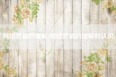 网络营销的理解(网络营销的理解和认识)