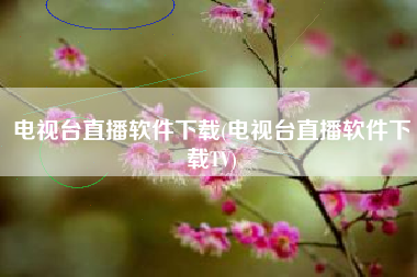 电视台直播软件下载(电视台直播软件下载TV)